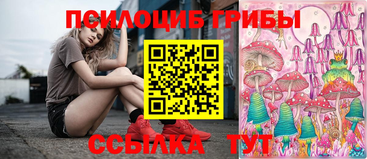 закладки  Вход с VPN  Псилоцибиновые грибы Magic Shrooms  Мытищи  Галлюциногенные грибы ЛСД 